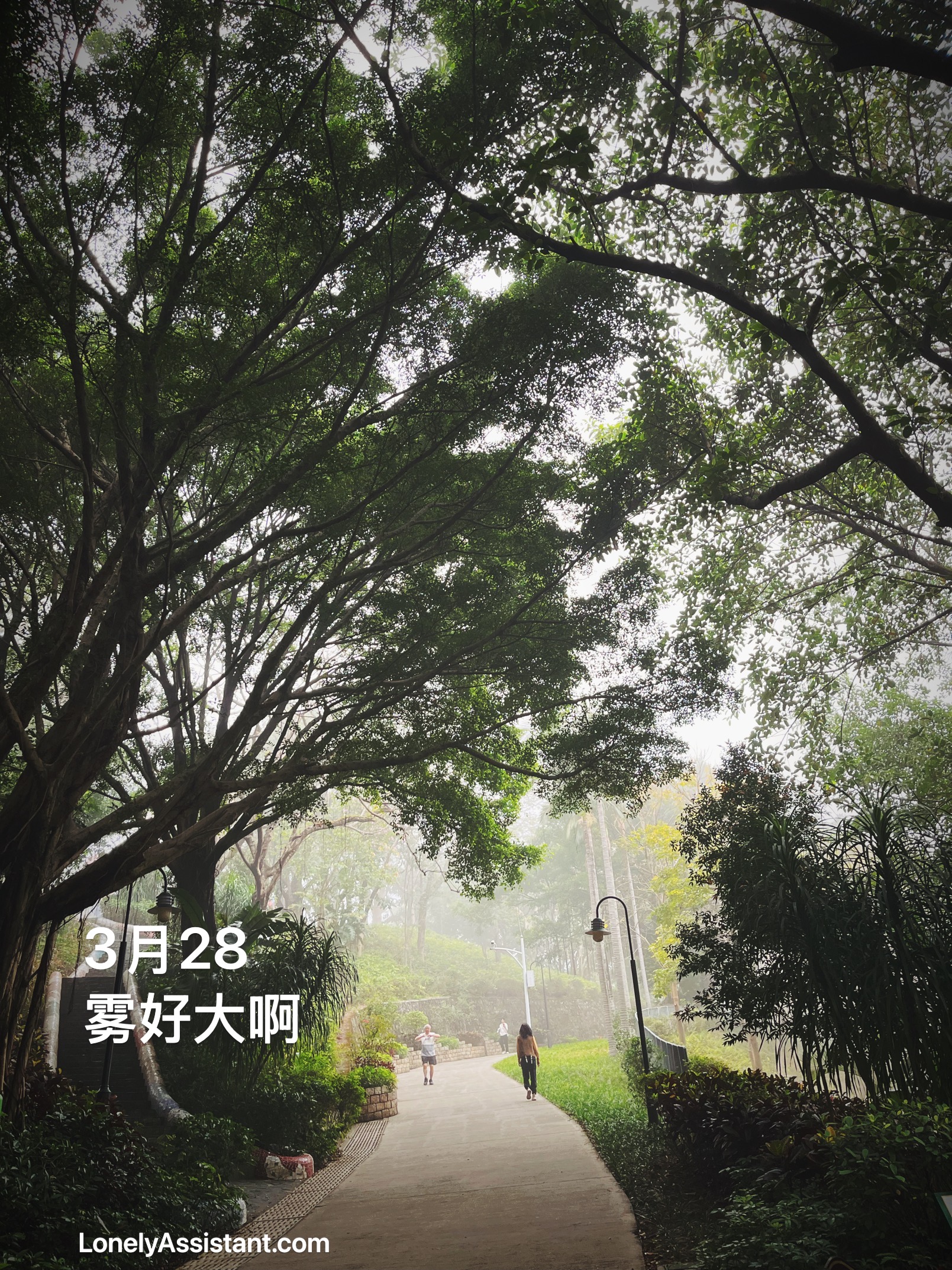 /media/images-phone/2025/9/15/2025-09-15 12.34.07.jpeg